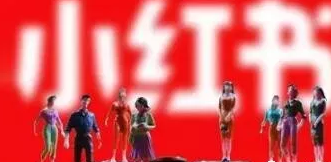 新手運(yùn)營(yíng)小紅書(shū)