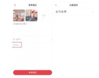 小紅書品牌賬號(hào)認(rèn)證