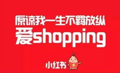 小紅書(shū)營(yíng)銷(xiāo)策略