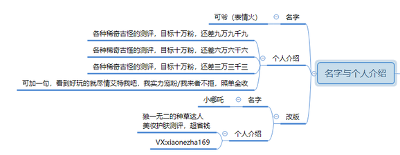 新媒體運(yùn)營,青木in,案例分析,運(yùn)營方案,抖音