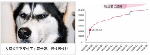 一條抖音為品牌帶來2.7億次曝光？企業(yè)抖音藍V最全攻略！