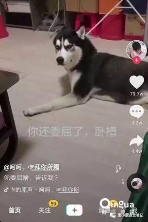 怎么做抖音？抖音6種運(yùn)營(yíng)推廣技巧！