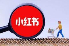 品牌主在小紅書上的KOL選擇時需要考慮哪些因素？