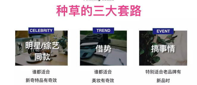 玩轉社交電商，小紅書種草六五攻略