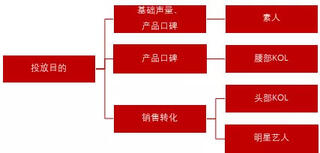 明星、KOL、素人，小紅書(shū)品牌投放選誰(shuí)比較好？