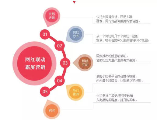 玩轉社交電商，小紅書種草六五攻略